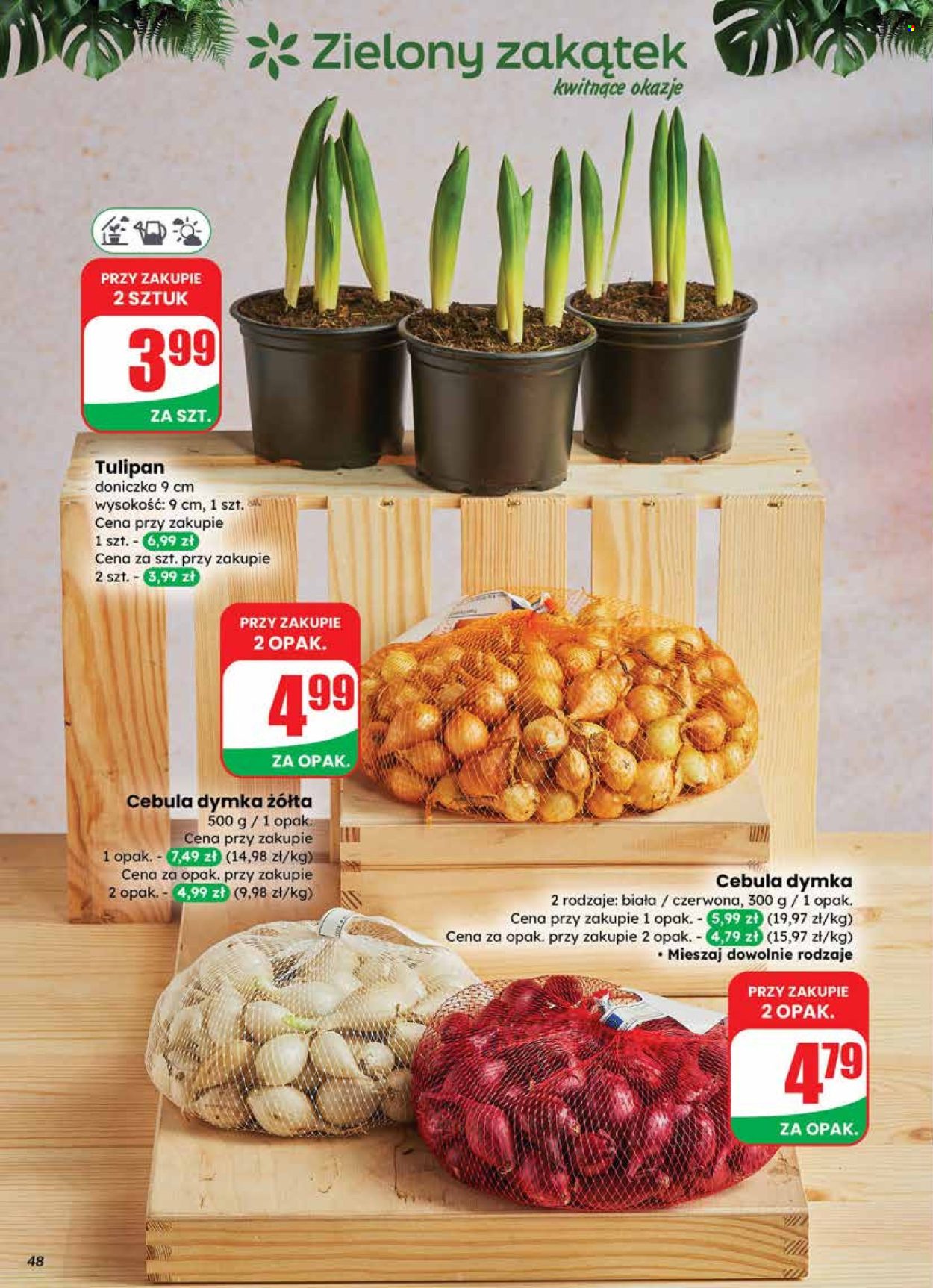 Gazetka Dino - 18.02.2026 - 24.02.2026. Strona 48