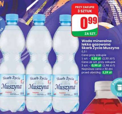 Woda mineralna lekko gazowana Skarb Życia Muszyna