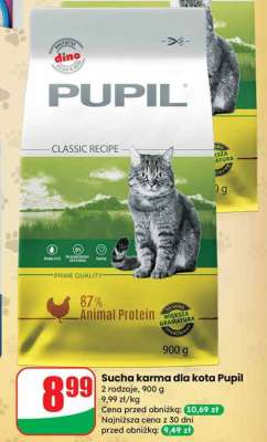 Sucha karma dla kota Pupil