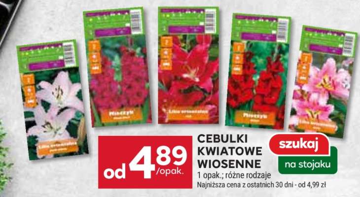 Cebulki Kwiatowe Wiosenne