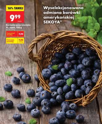 Borówka amerykańska XL, opak. 150 g