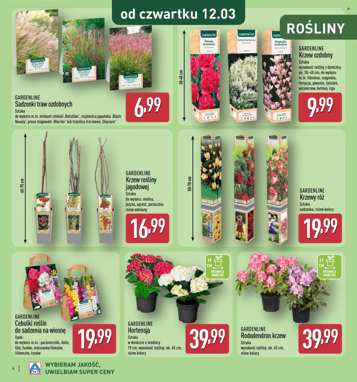 Gazetka ALDI. Strona 6
