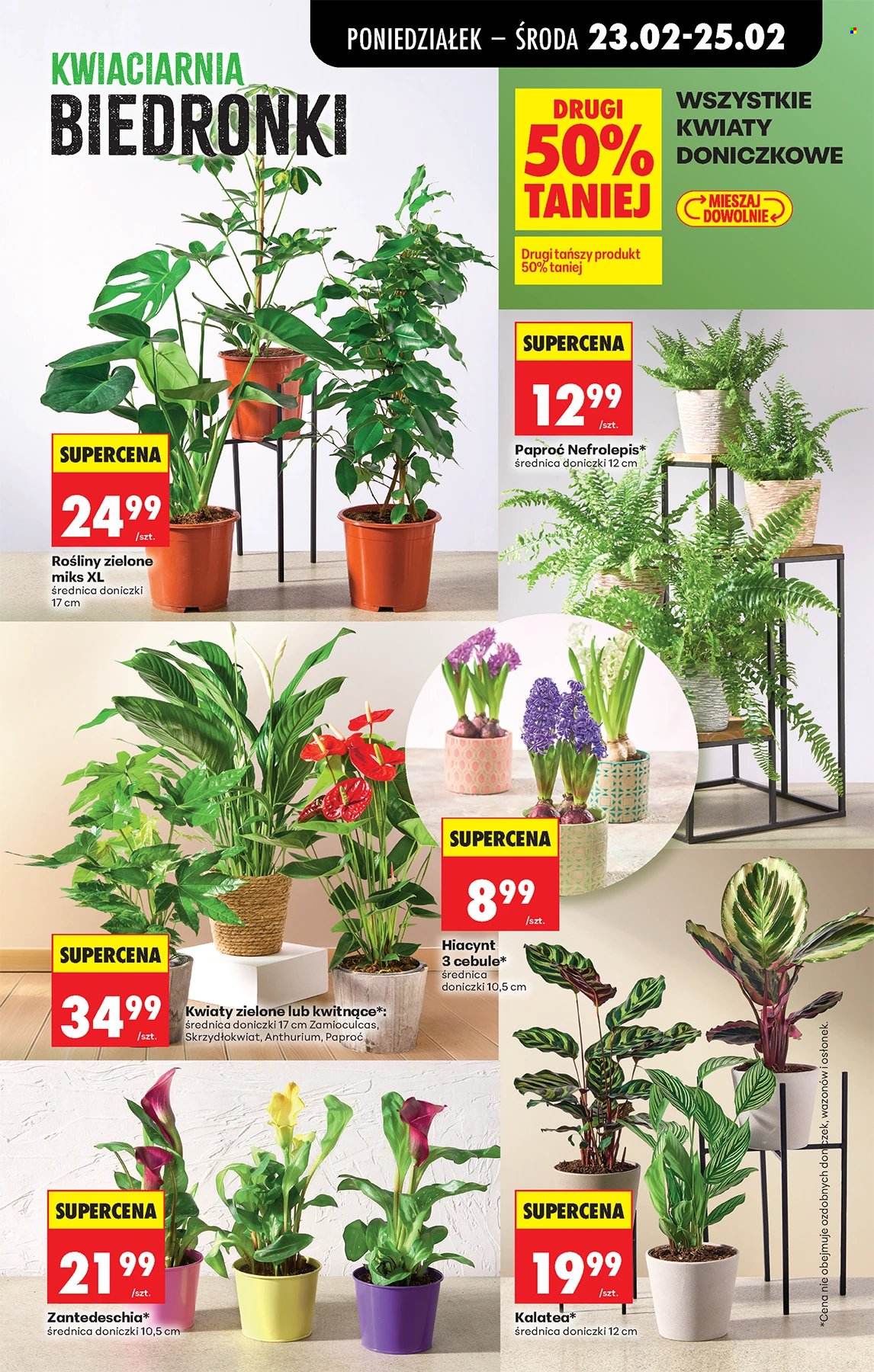 Gazetka Biedronka - 23.02.2026 - 28.02.2026. Strona 23