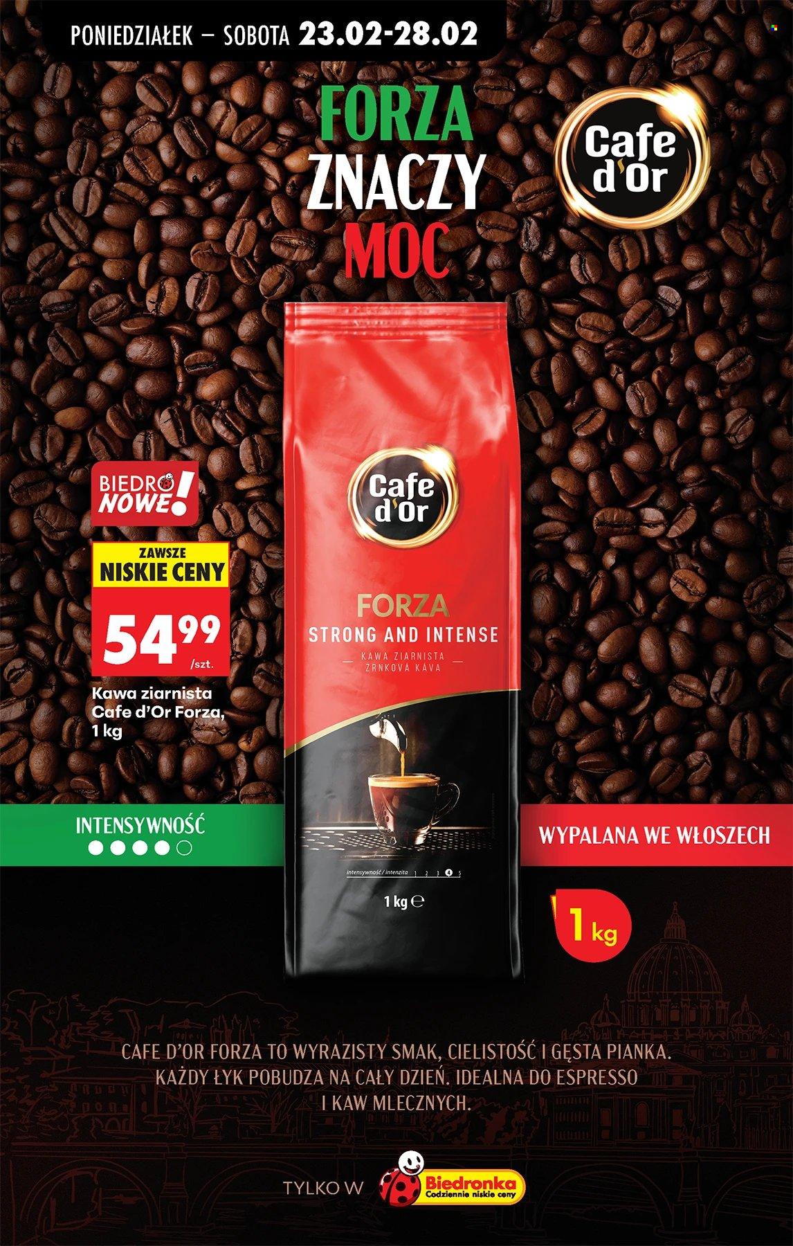 Gazetka Biedronka - 23.02.2026 - 28.02.2026. Strona 72