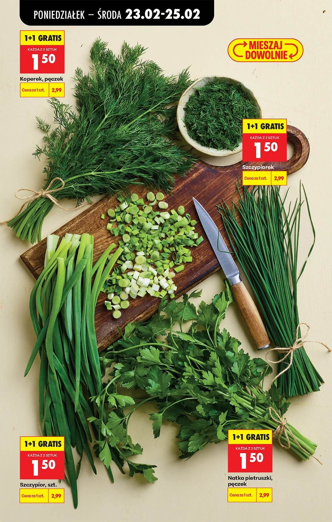 Gazetka Biedronka - 23.02.2026 - 28.02.2026. Strona 85