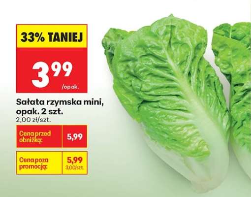 sałata rzymska mini , opak . 2 szt .