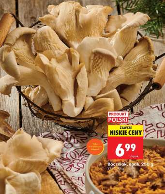 Boczniak, opak. 250 g