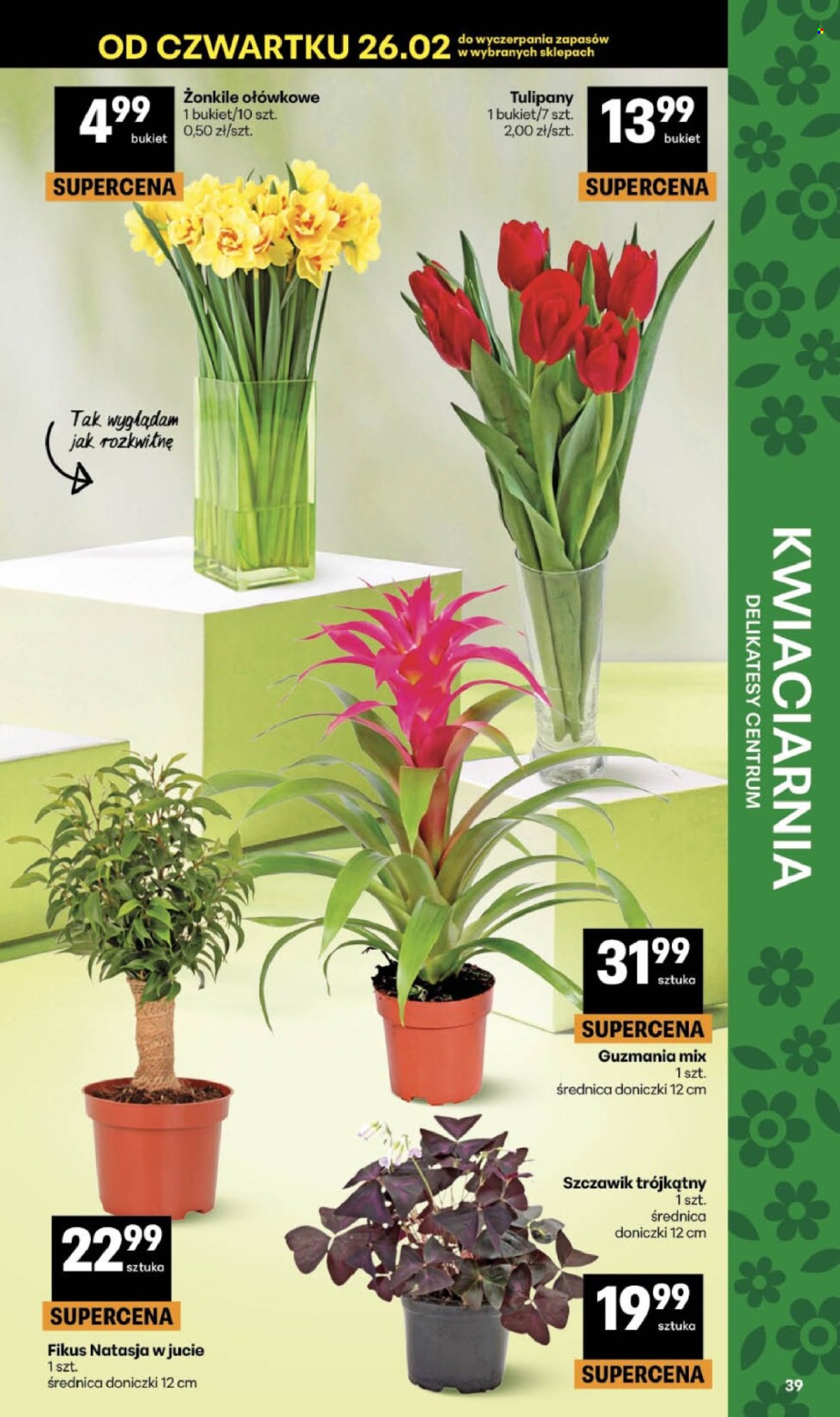 Gazetka Delikatesy Centrum - 26.02.2026 - 4.03.2026. Strona 39