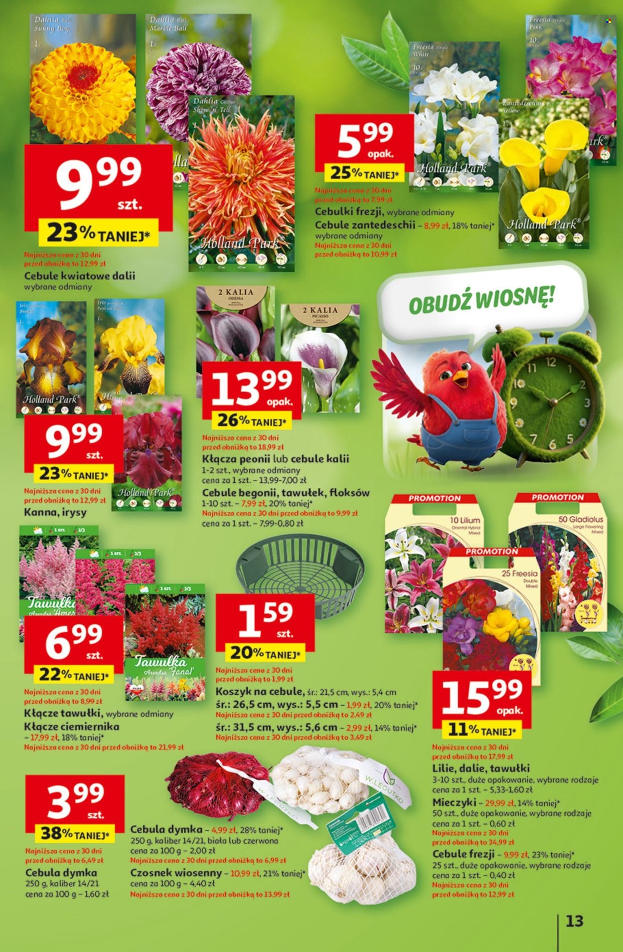 Gazetka Auchan - 26.02.2026 - 4.03.2026. Strona 13