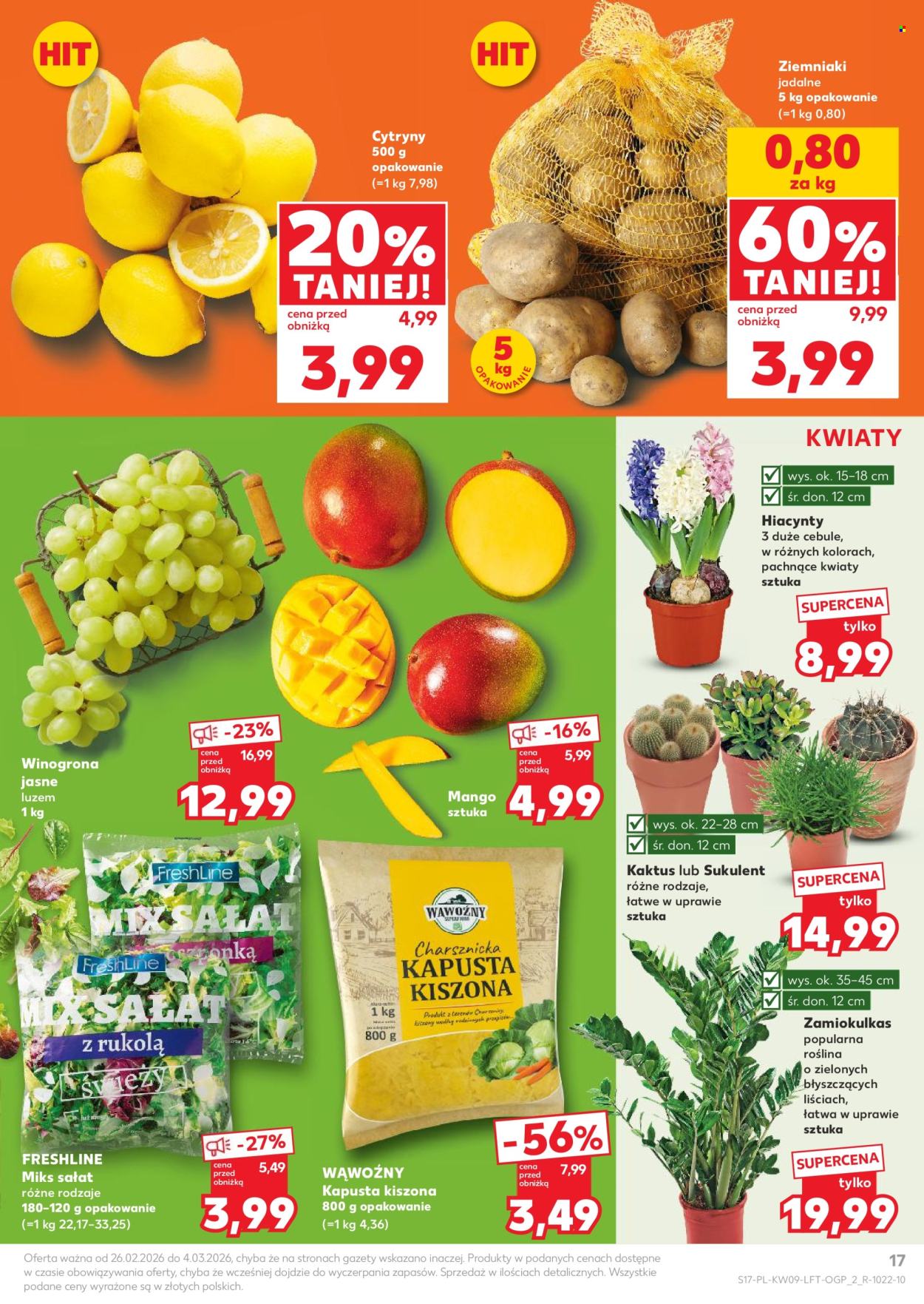 Gazetka Kaufland - 26.02.2026 - 4.03.2026. Strona 17