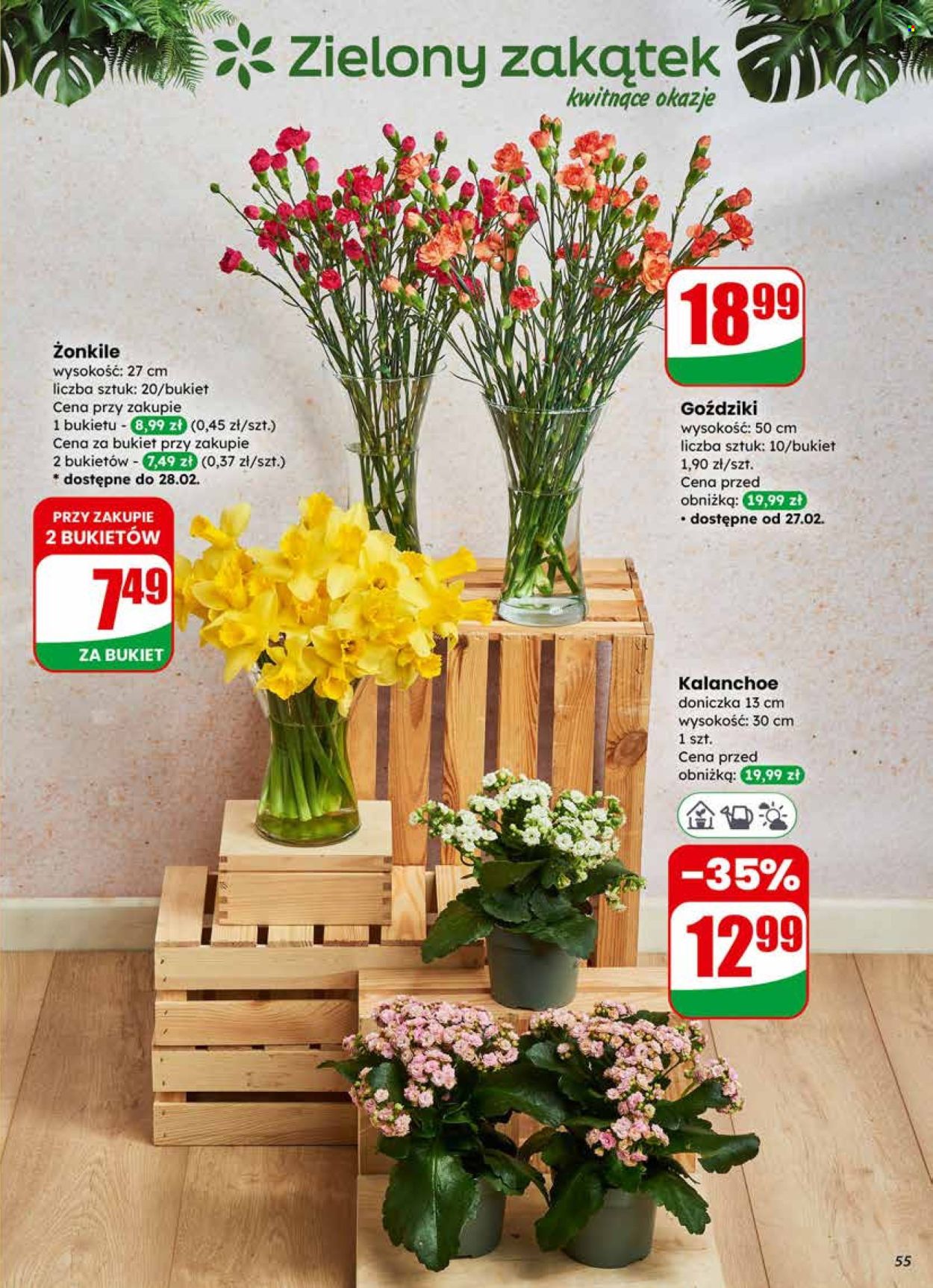 Gazetka Dino - 25.02.2026 - 3.03.2026. Strona 55