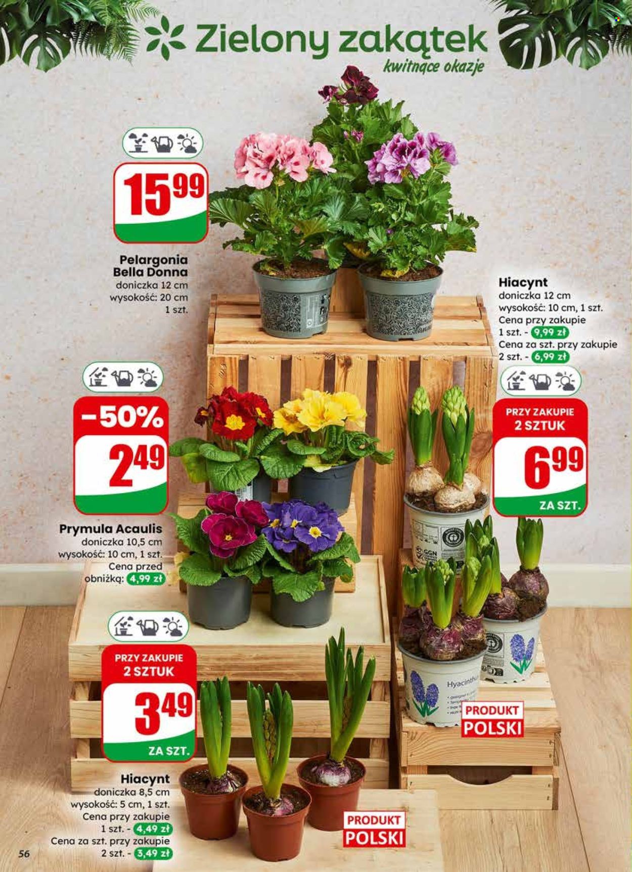 Gazetka Dino - 25.02.2026 - 3.03.2026. Strona 56