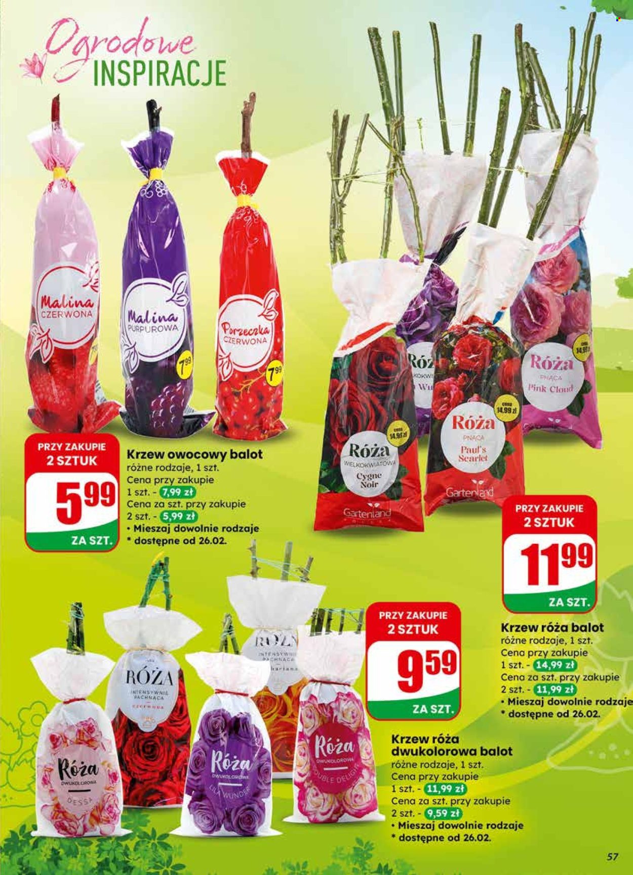 Gazetka Dino - 25.02.2026 - 3.03.2026. Strona 57