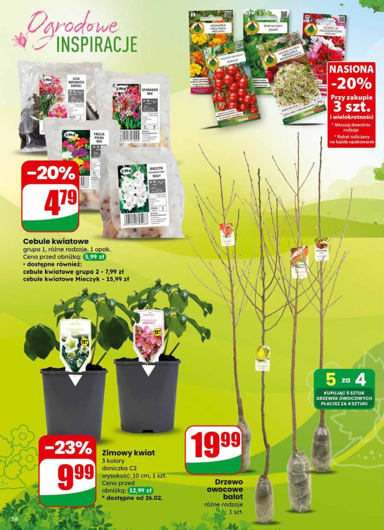 Gazetka Dino - 25.02.2026 - 3.03.2026. Strona 58