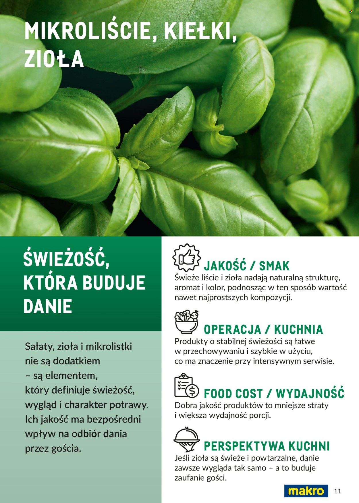 Gazetka Makro - 1.03.2026 - 31.12.2026. Strona 11