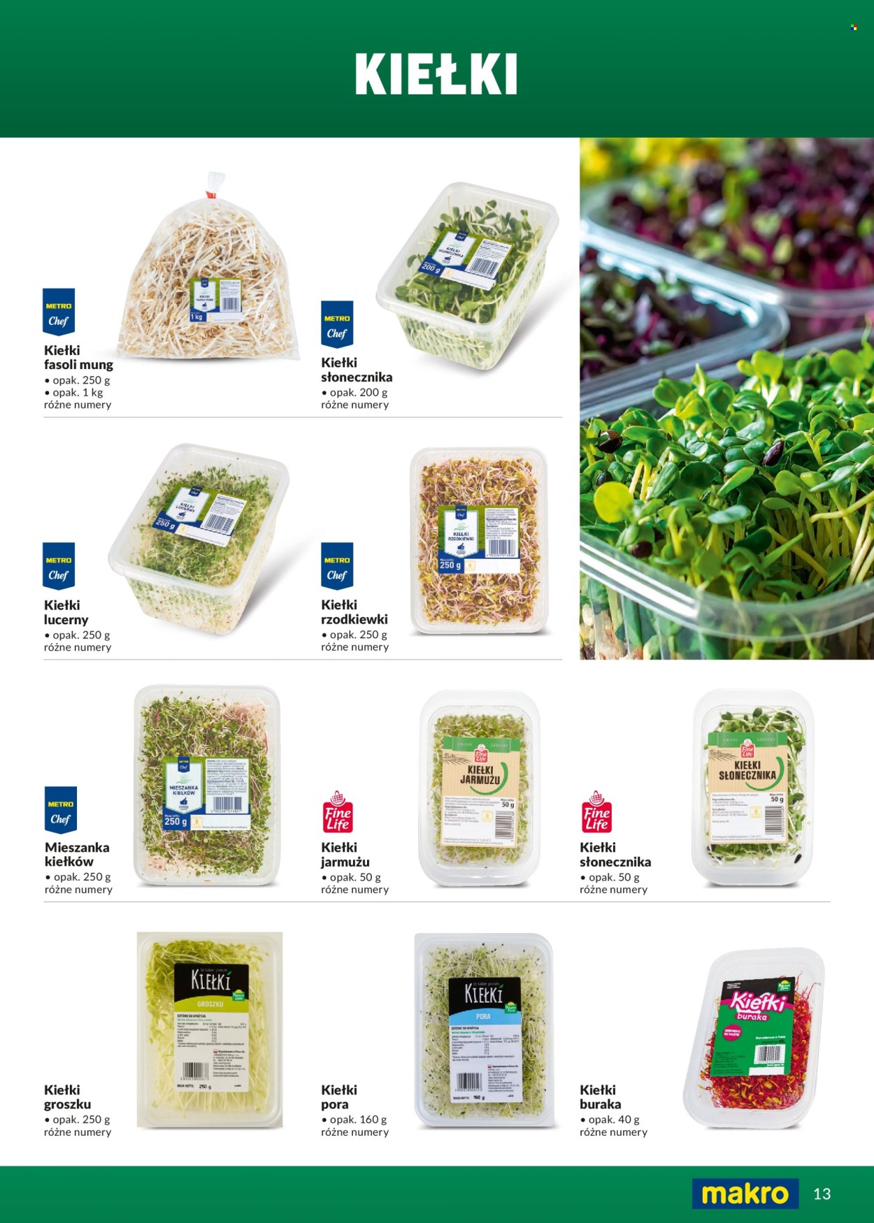 Gazetka Makro - 1.03.2026 - 31.12.2026. Strona 13