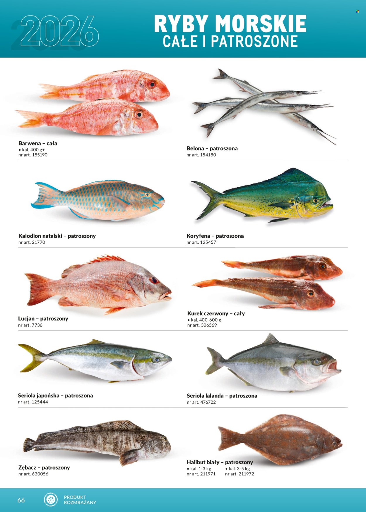 Gazetka Makro - 1.03.2026 - 31.12.2026. Strona 66