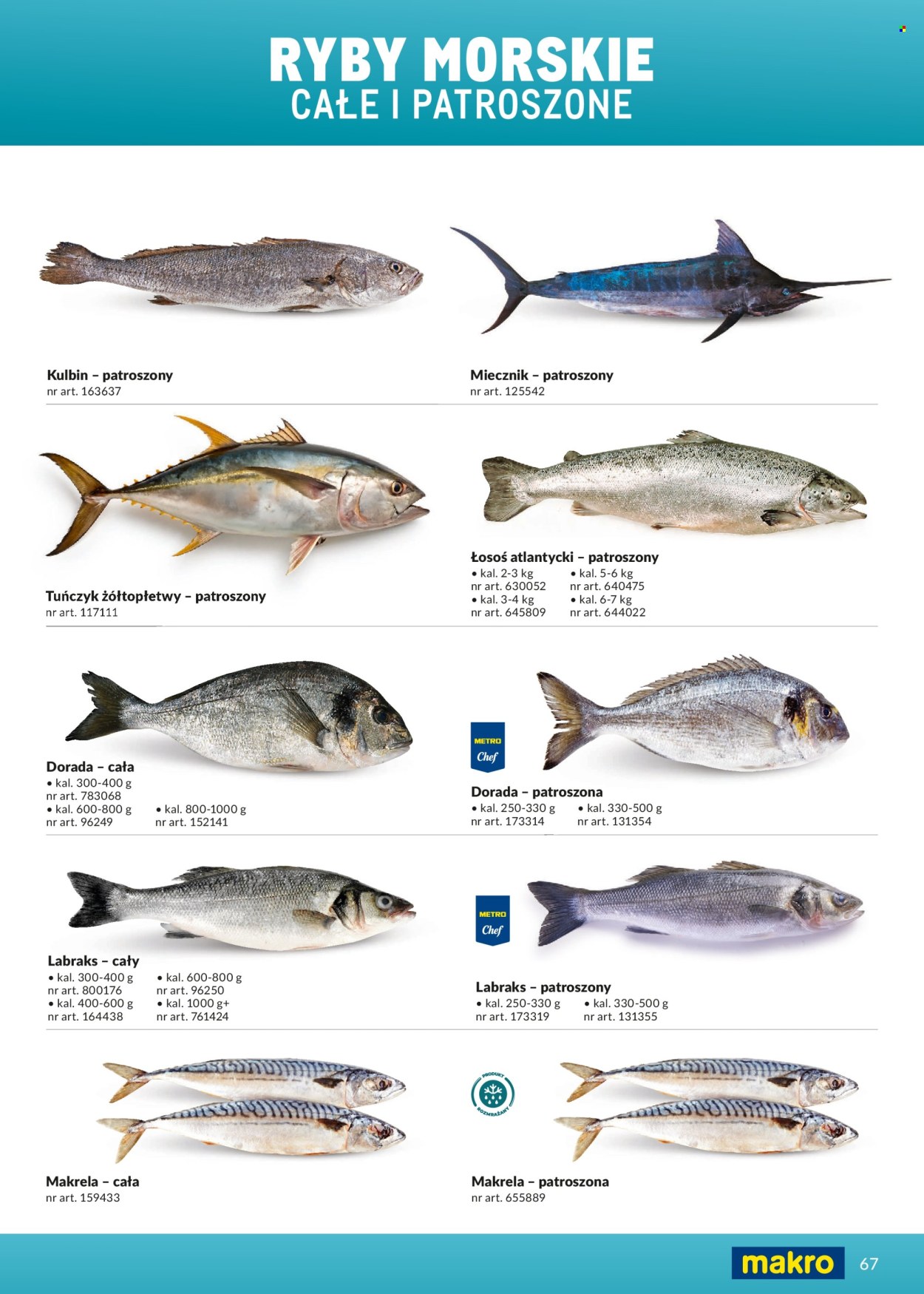 Gazetka Makro - 1.03.2026 - 31.12.2026. Strona 67