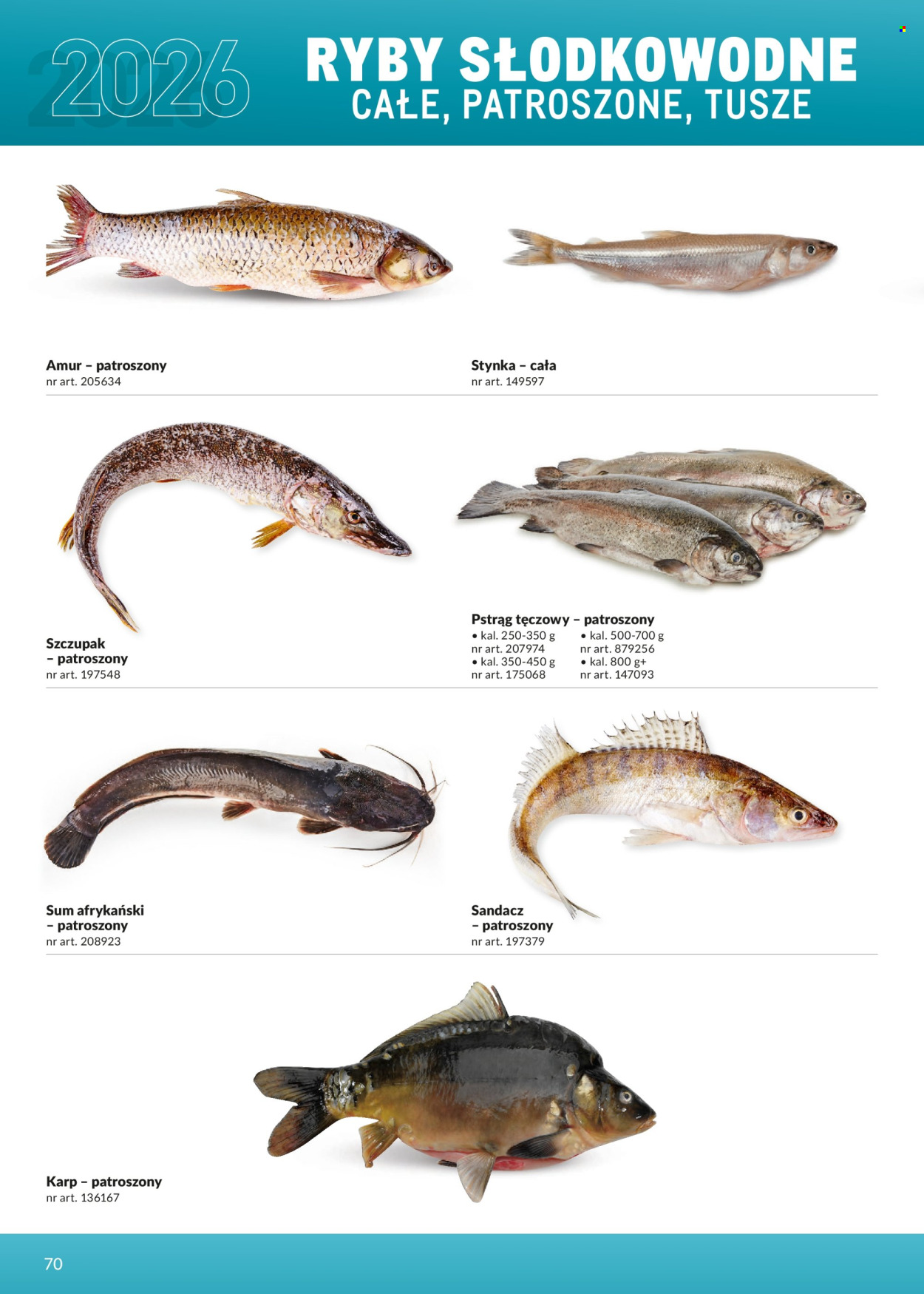 Gazetka Makro - 1.03.2026 - 31.12.2026. Strona 70