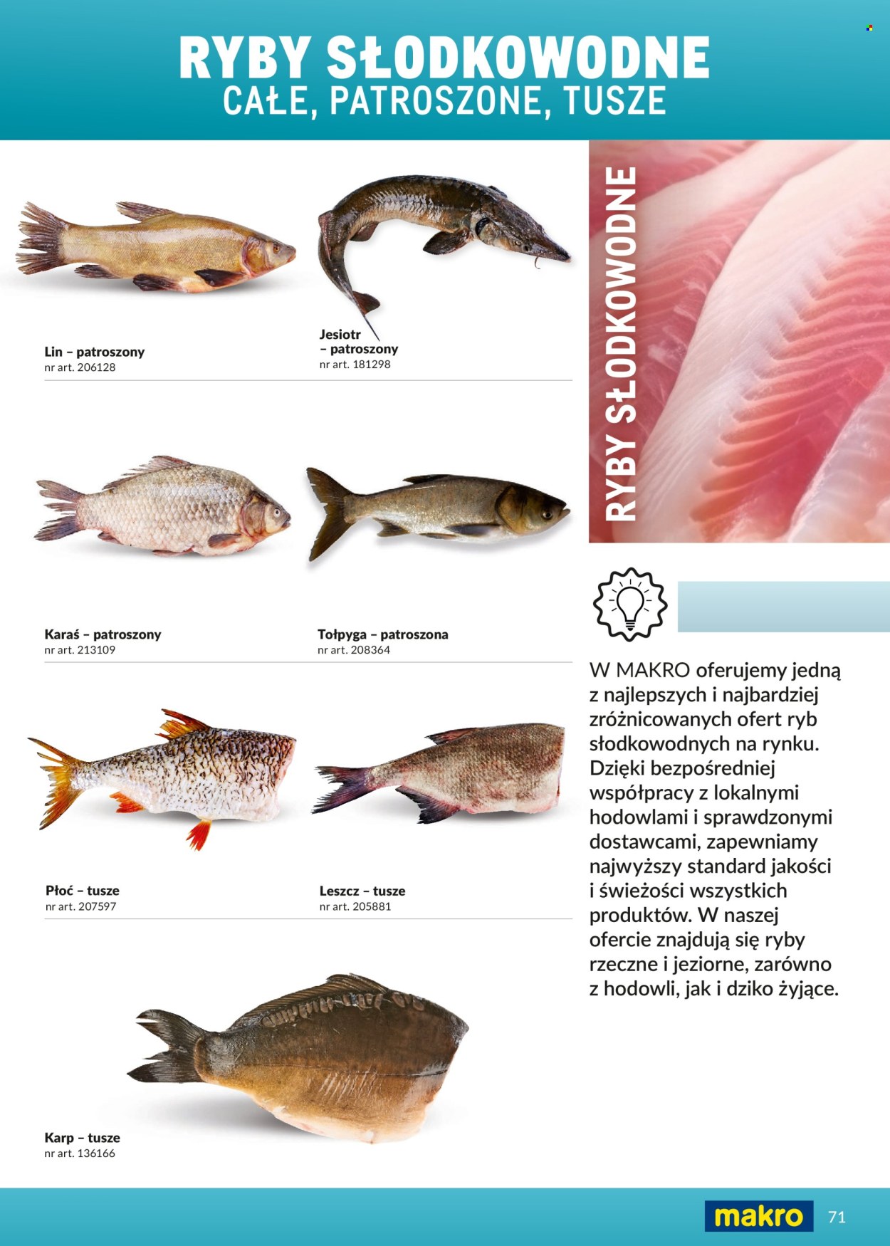 Gazetka Makro - 1.03.2026 - 31.12.2026. Strona 71