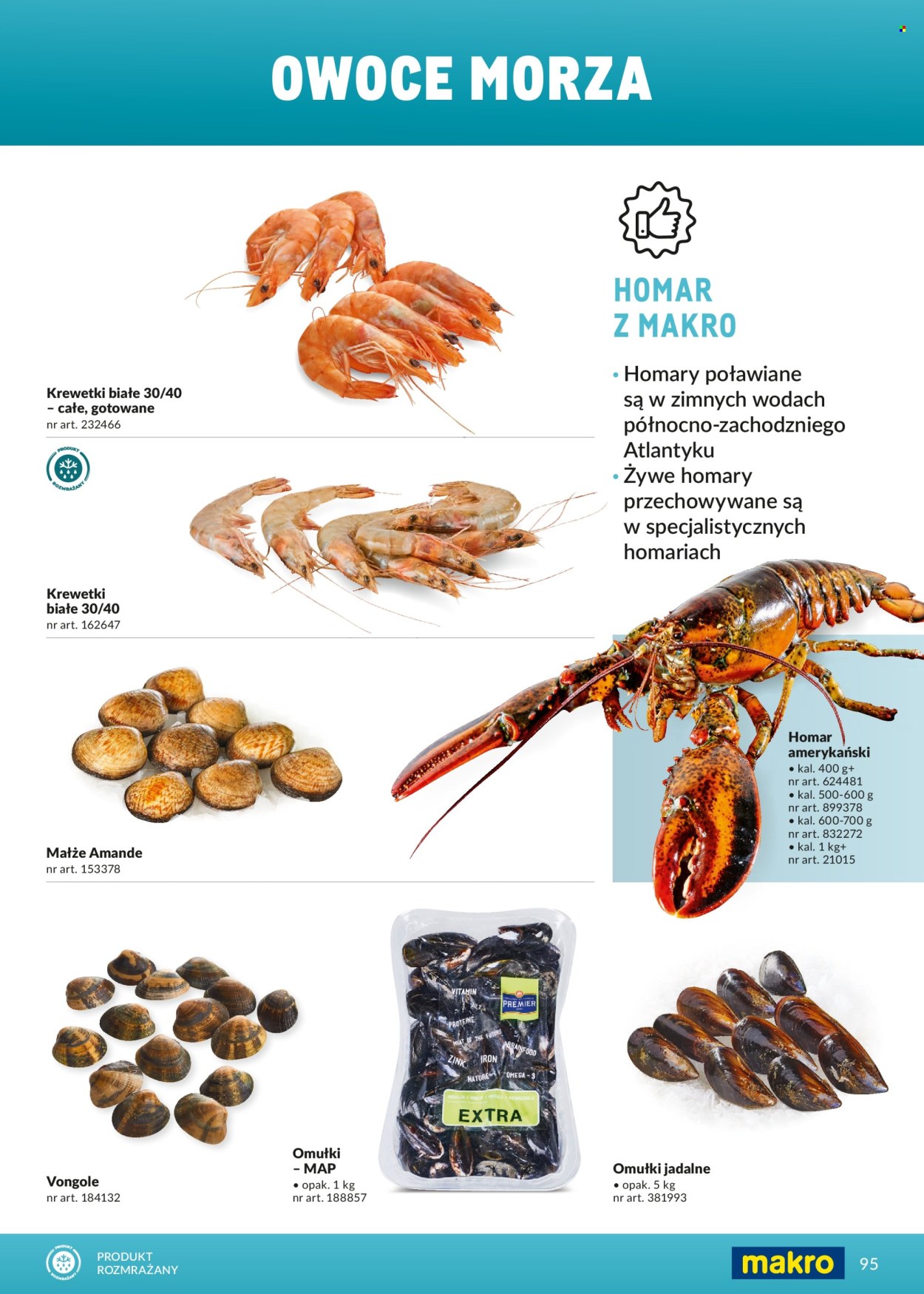 Gazetka Makro - 1.03.2026 - 31.12.2026. Strona 95