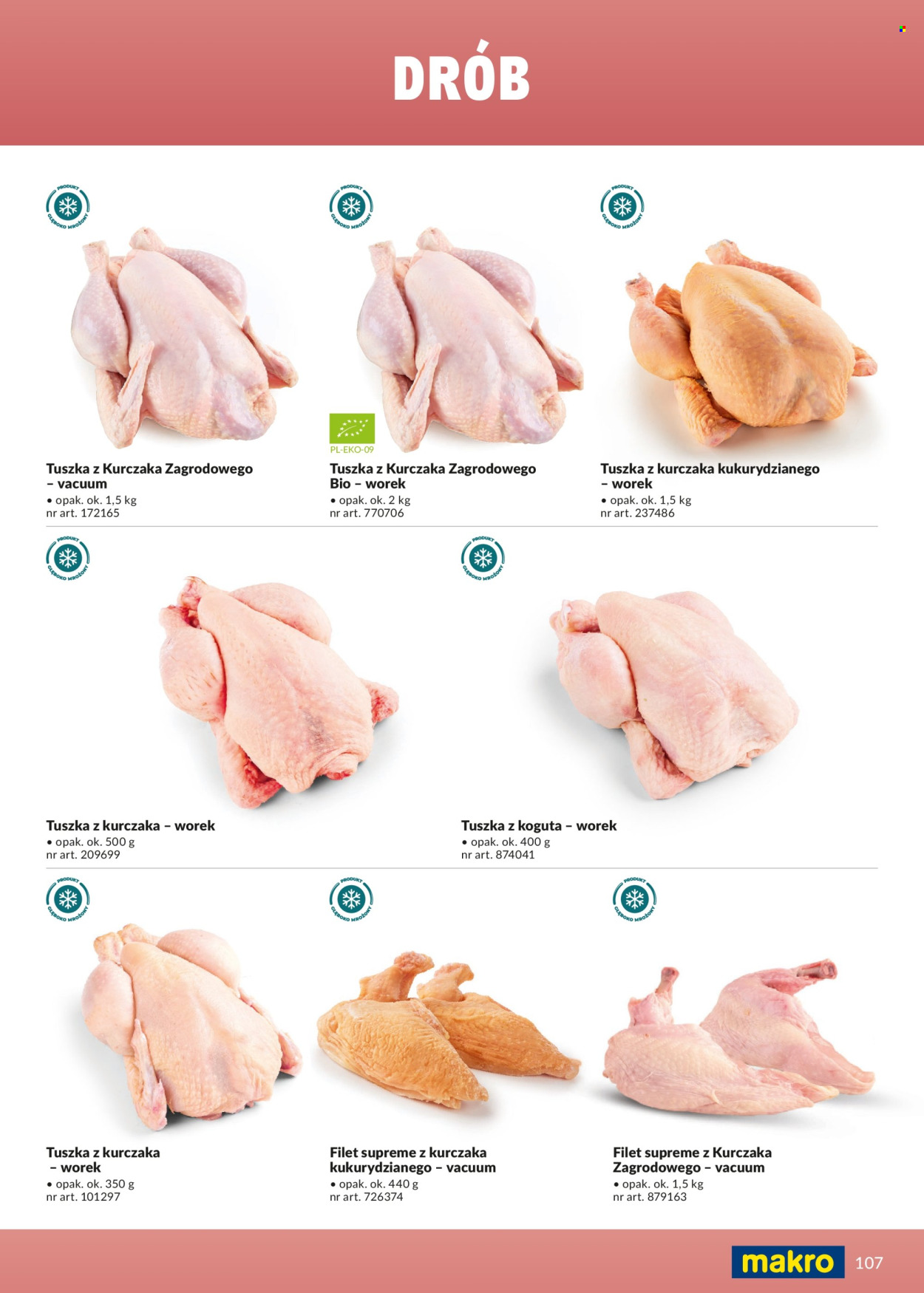 Gazetka Makro - 1.03.2026 - 31.12.2026. Strona 107