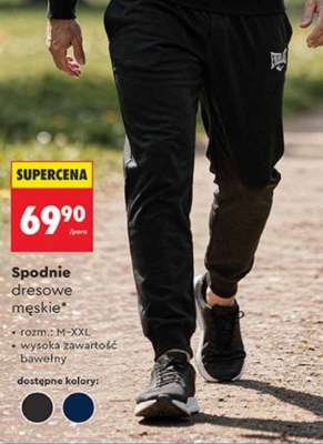 Spodnie dresowe męskie