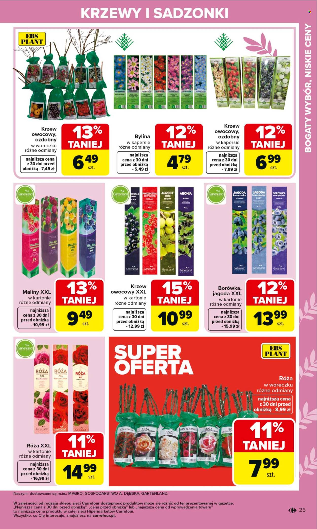 Gazetka Carrefour - 2.03.2026 - 4.04.2026. Strona 25