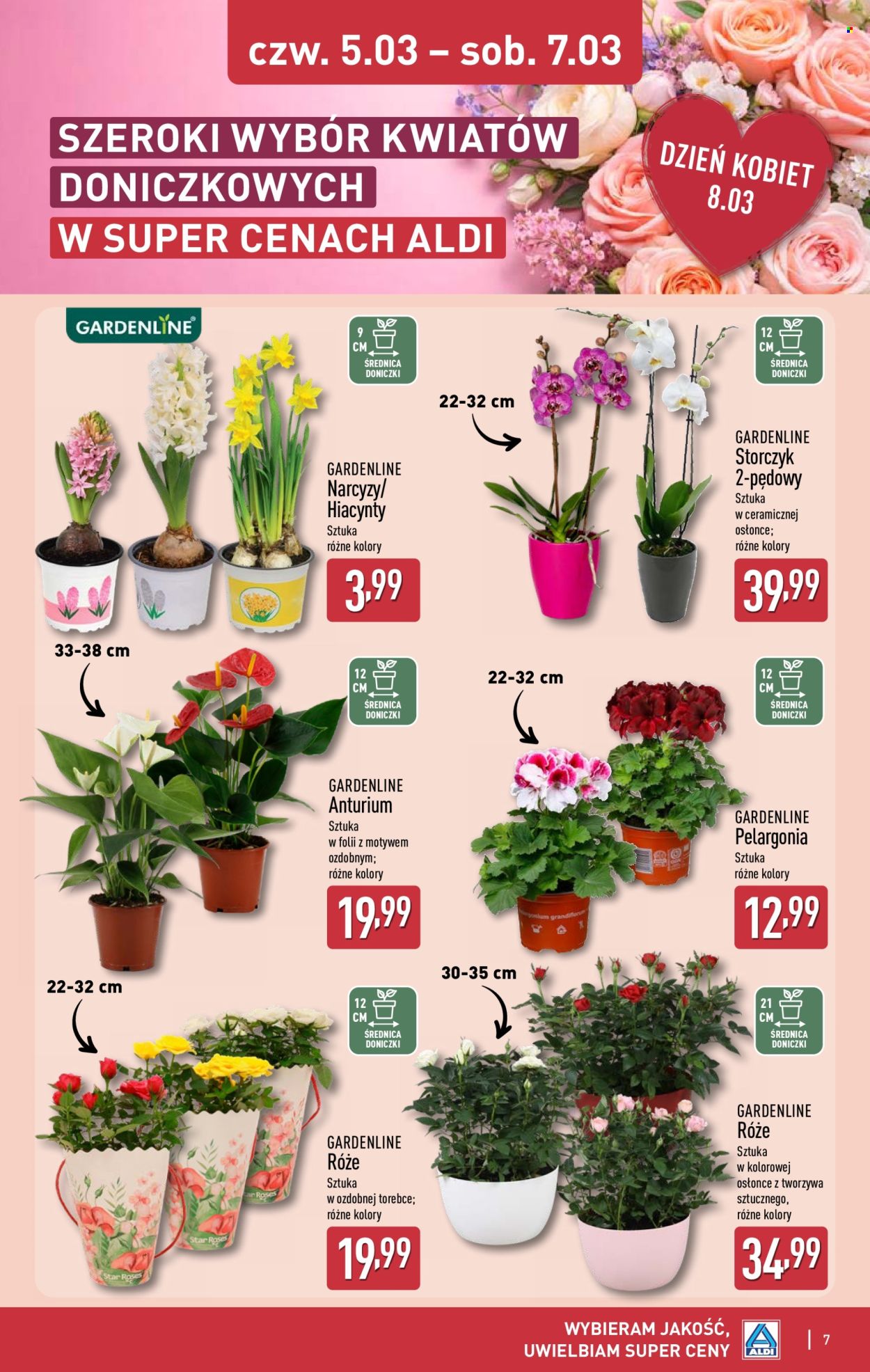 Gazetka ALDI - 2.03.2026 - 7.03.2026. Strona 7