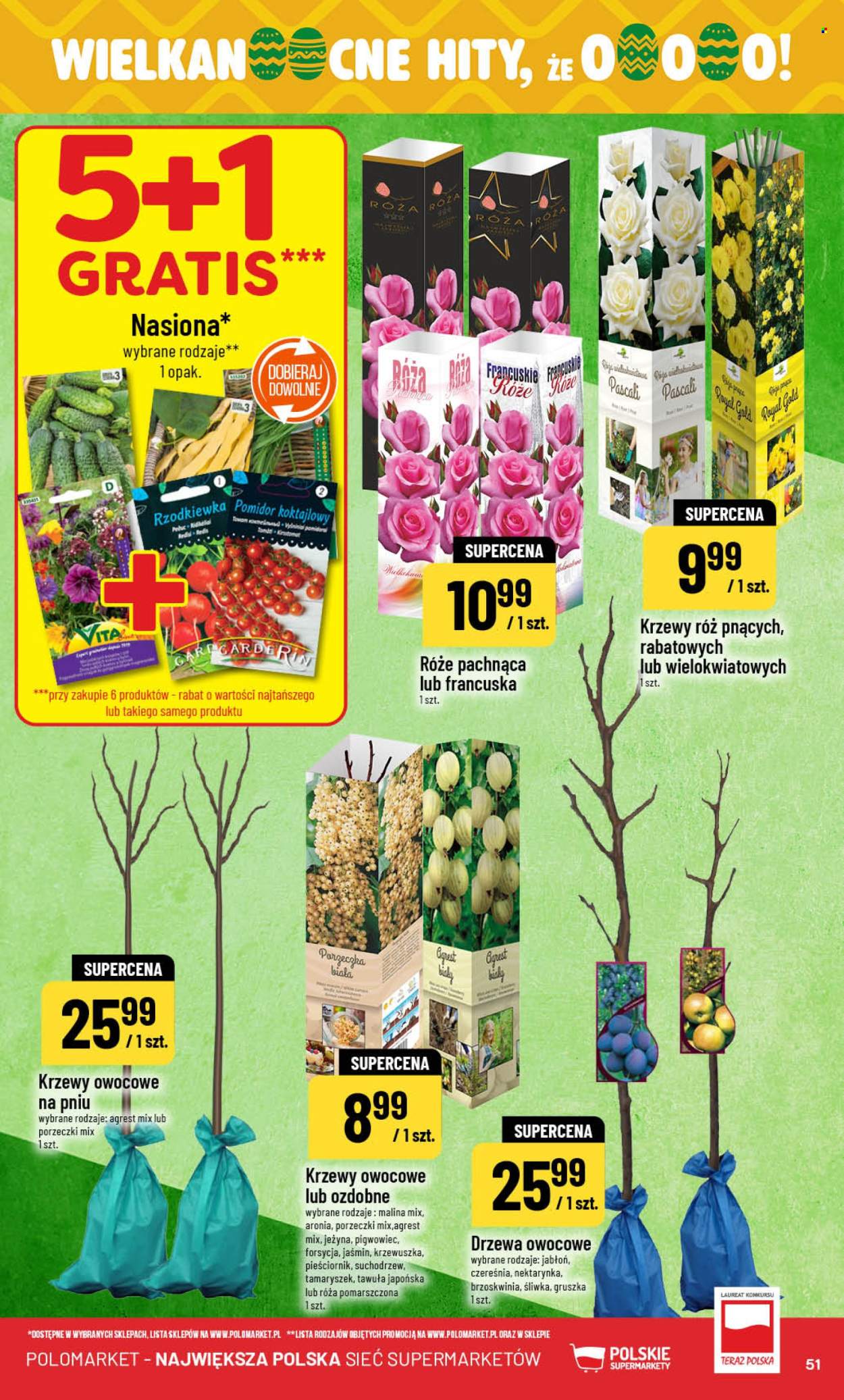 Gazetka Polomarket - 4.03.2026 - 10.03.2026. Strona 51