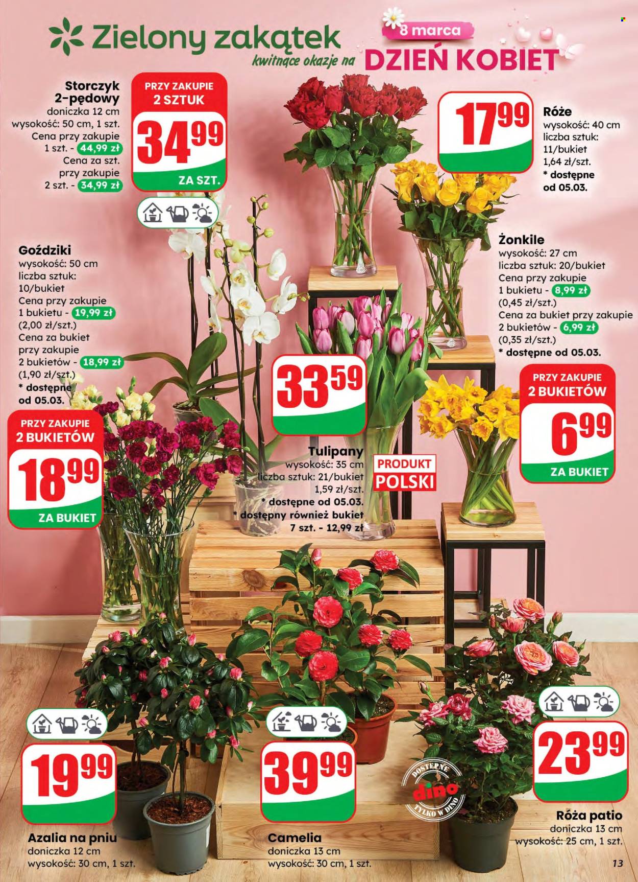 Gazetka Dino - 4.03.2026 - 10.03.2026. Strona 13