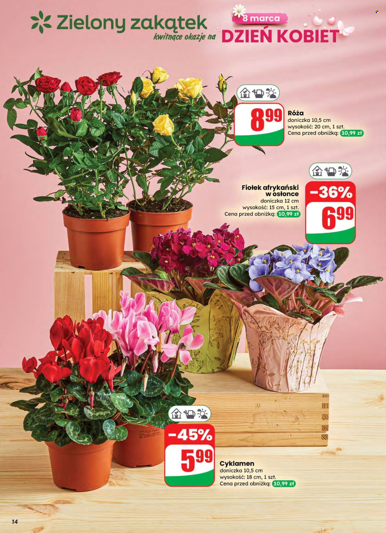 Gazetka Dino - 4.03.2026 - 10.03.2026. Strona 14