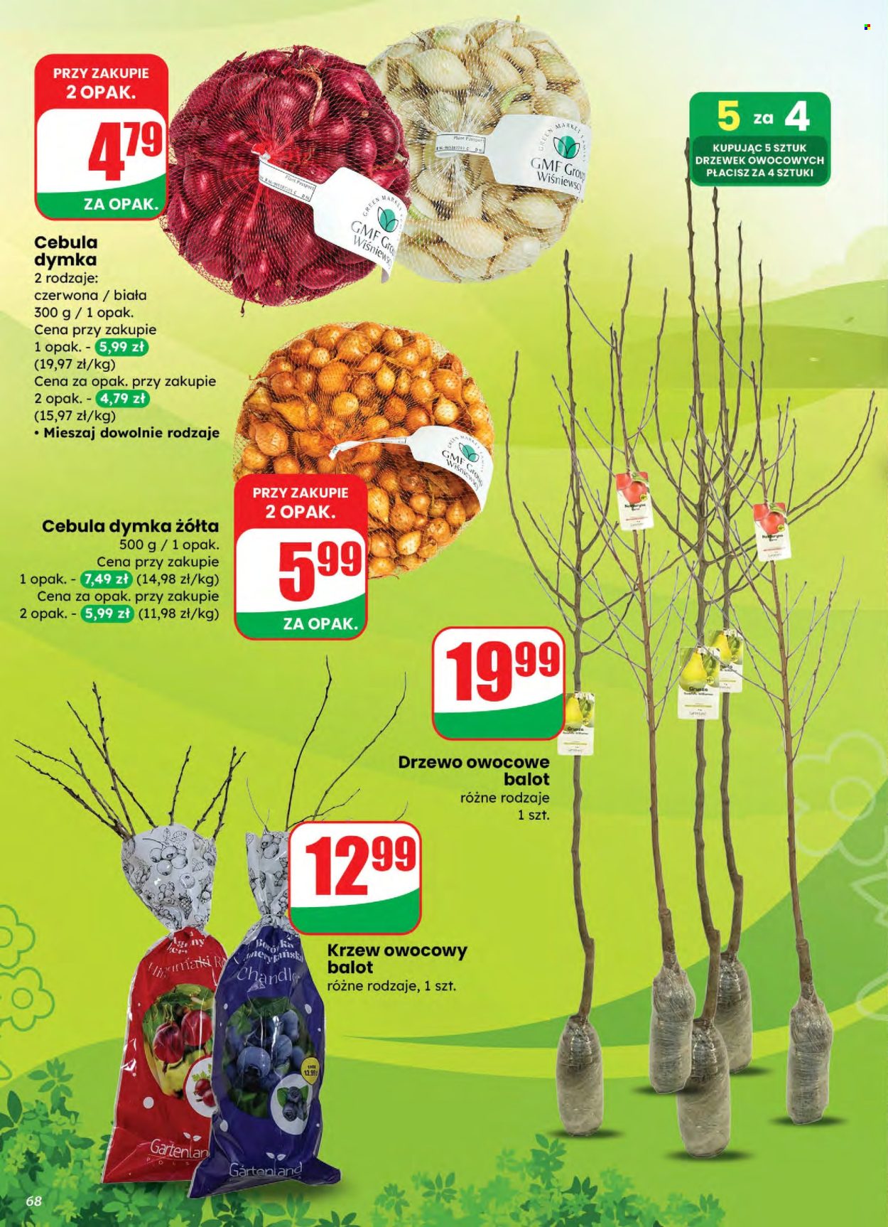 Gazetka Dino - 4.03.2026 - 10.03.2026. Strona 68