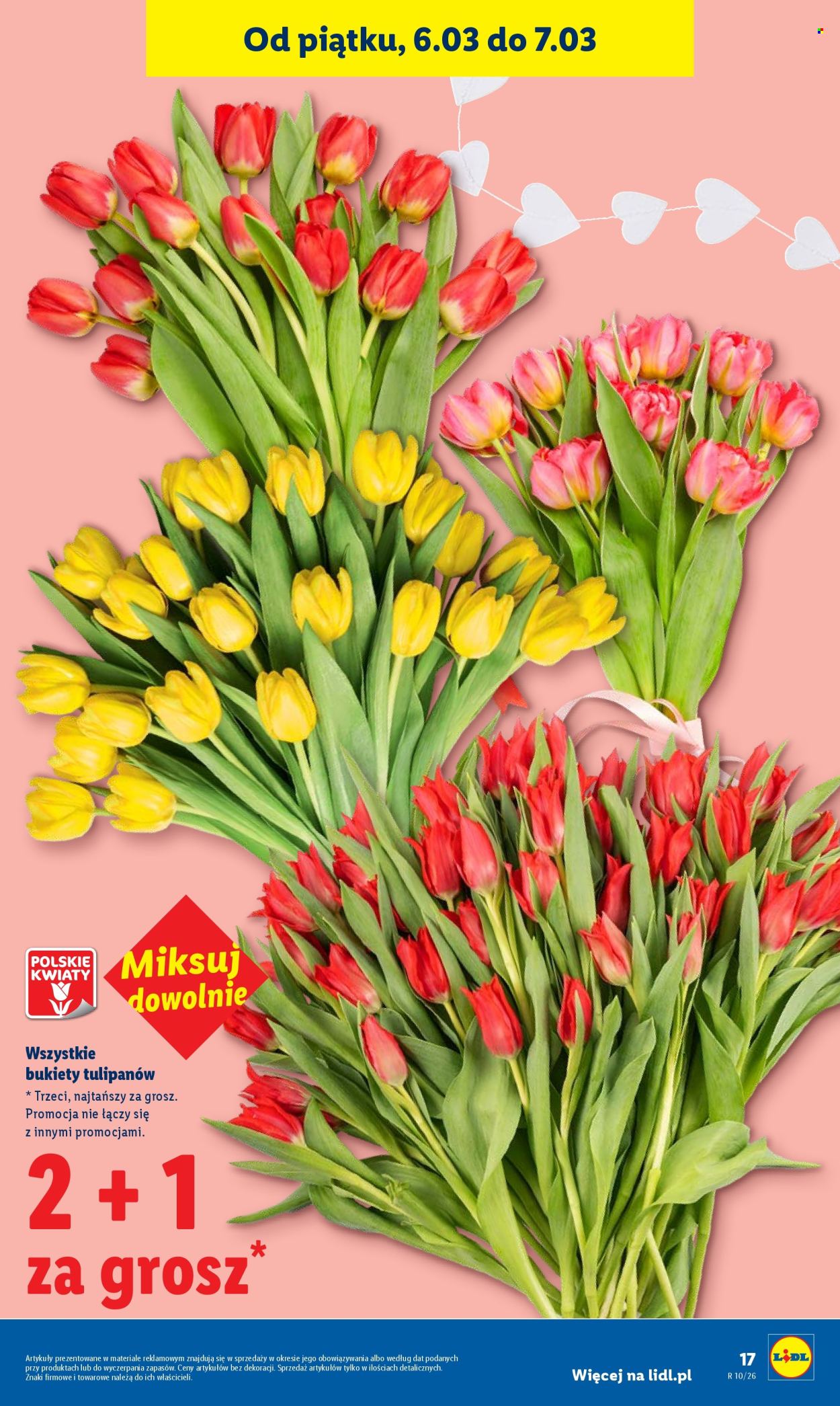 Gazetka Lidl - 5.03.2026 - 7.03.2026. Strona 17