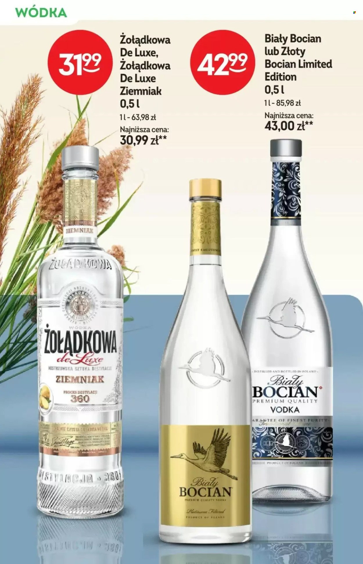 Gazetka Żabka - 4.03.2026 - 17.03.2026. Strona 18