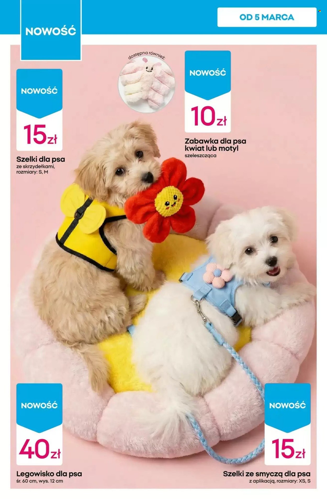 Gazetka Pepco - 5.03.2026 - 11.03.2026. Strona 10