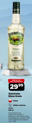 ŻUBRÓWKA BISON GRASS