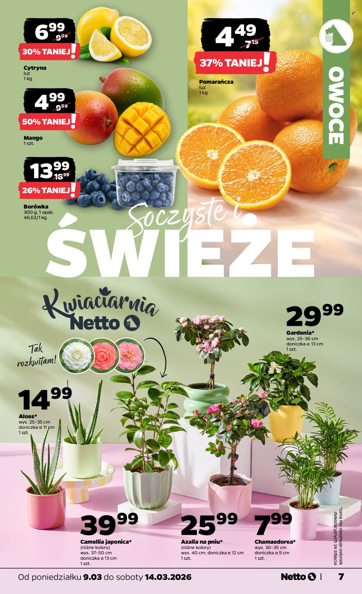 Gazetka Netto - 9.03.2026 - 14.03.2026. Strona 7
