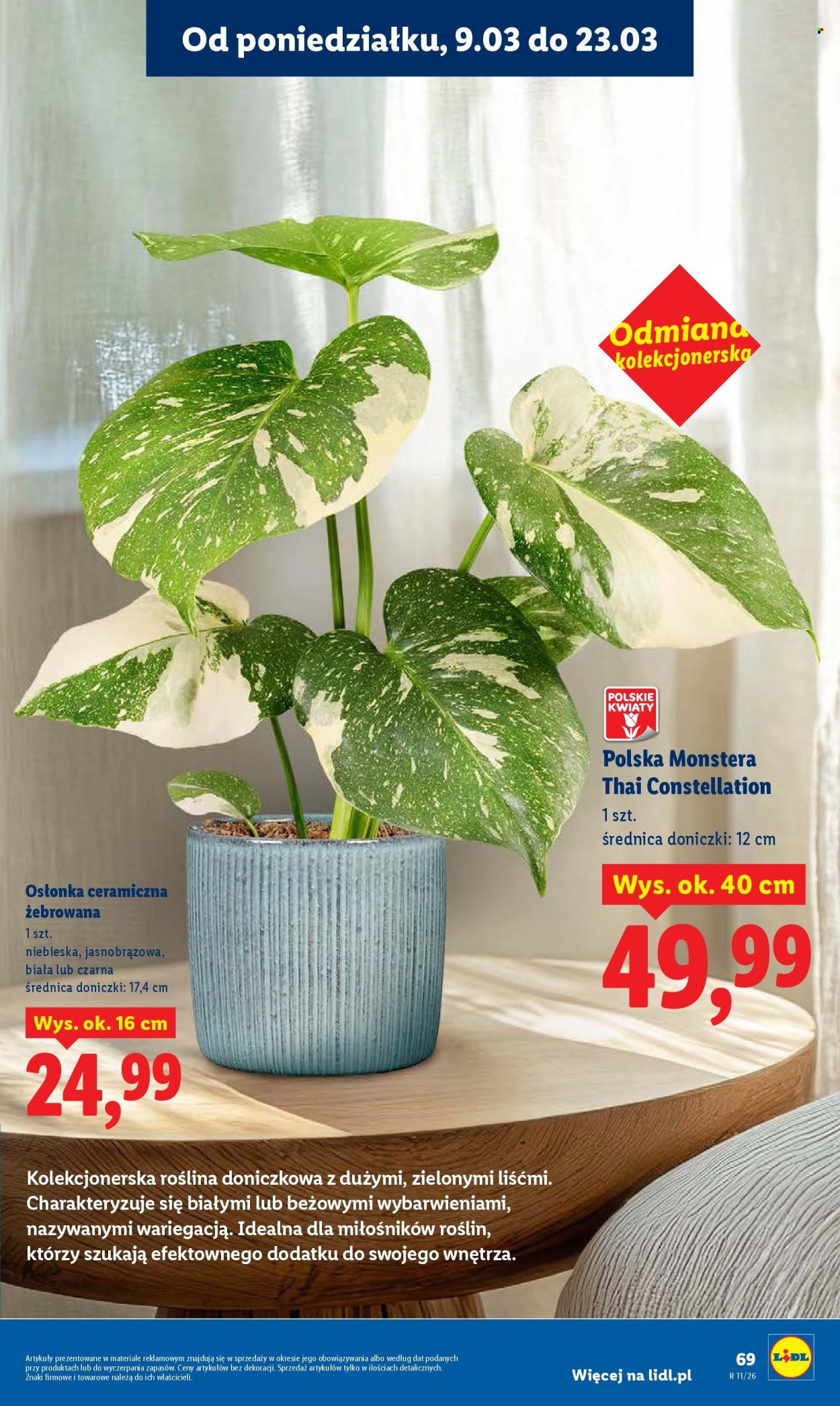 Gazetka Lidl - 9.03.2026 - 11.03.2026. Strona 69