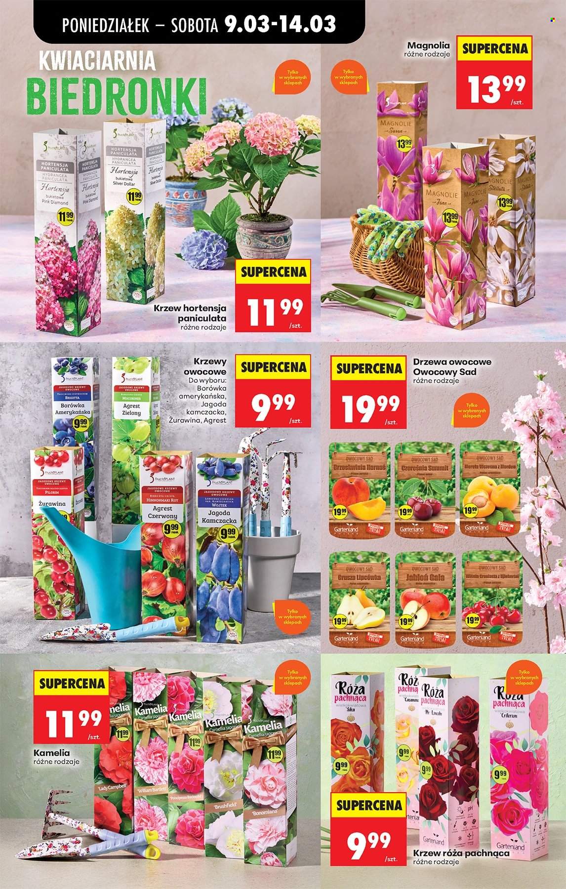 Gazetka Biedronka - 9.03.2026 - 14.03.2026. Strona 73