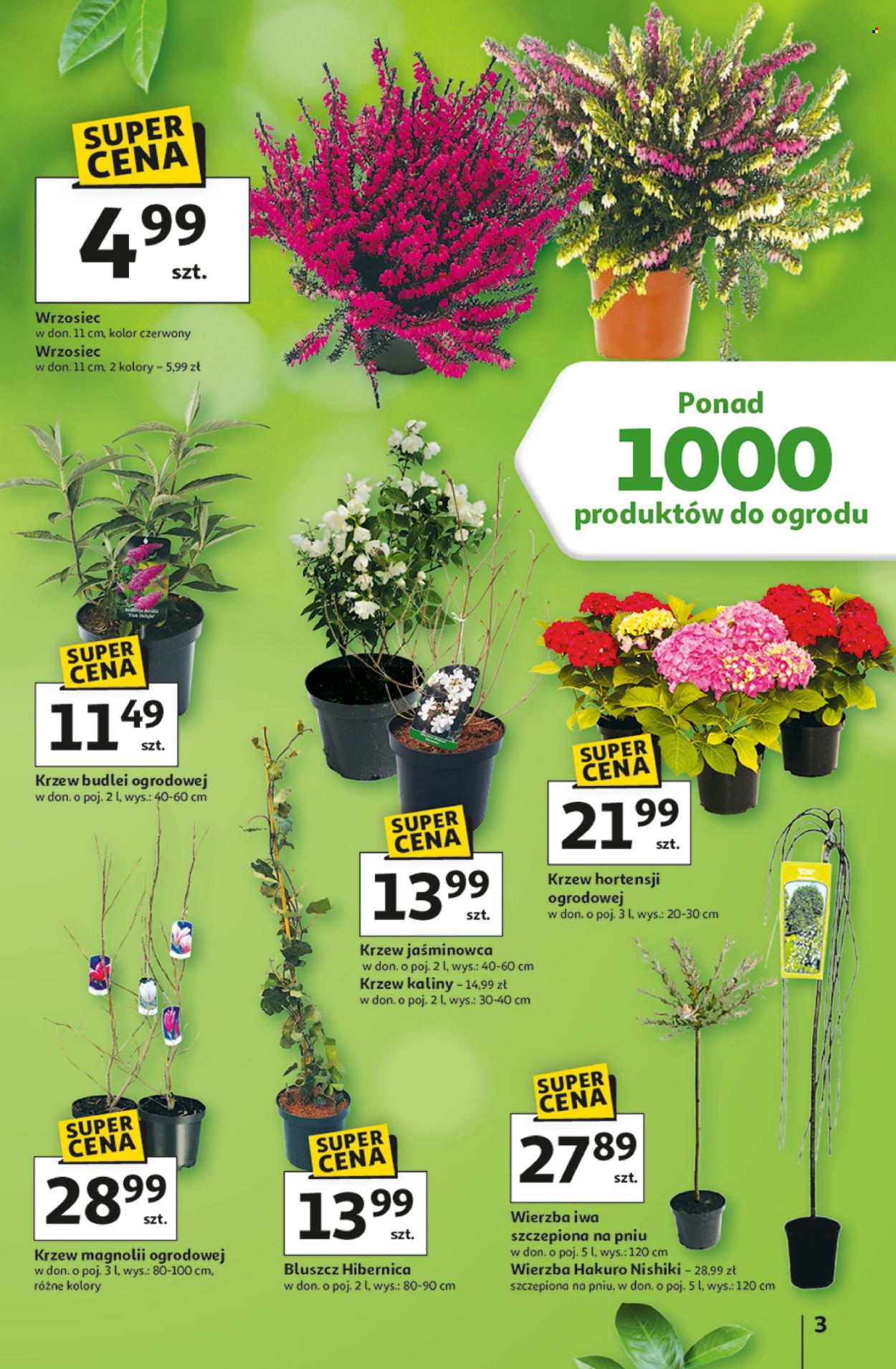 Gazetka Auchan - 12.03.2026 - 4.04.2026. Strona 3