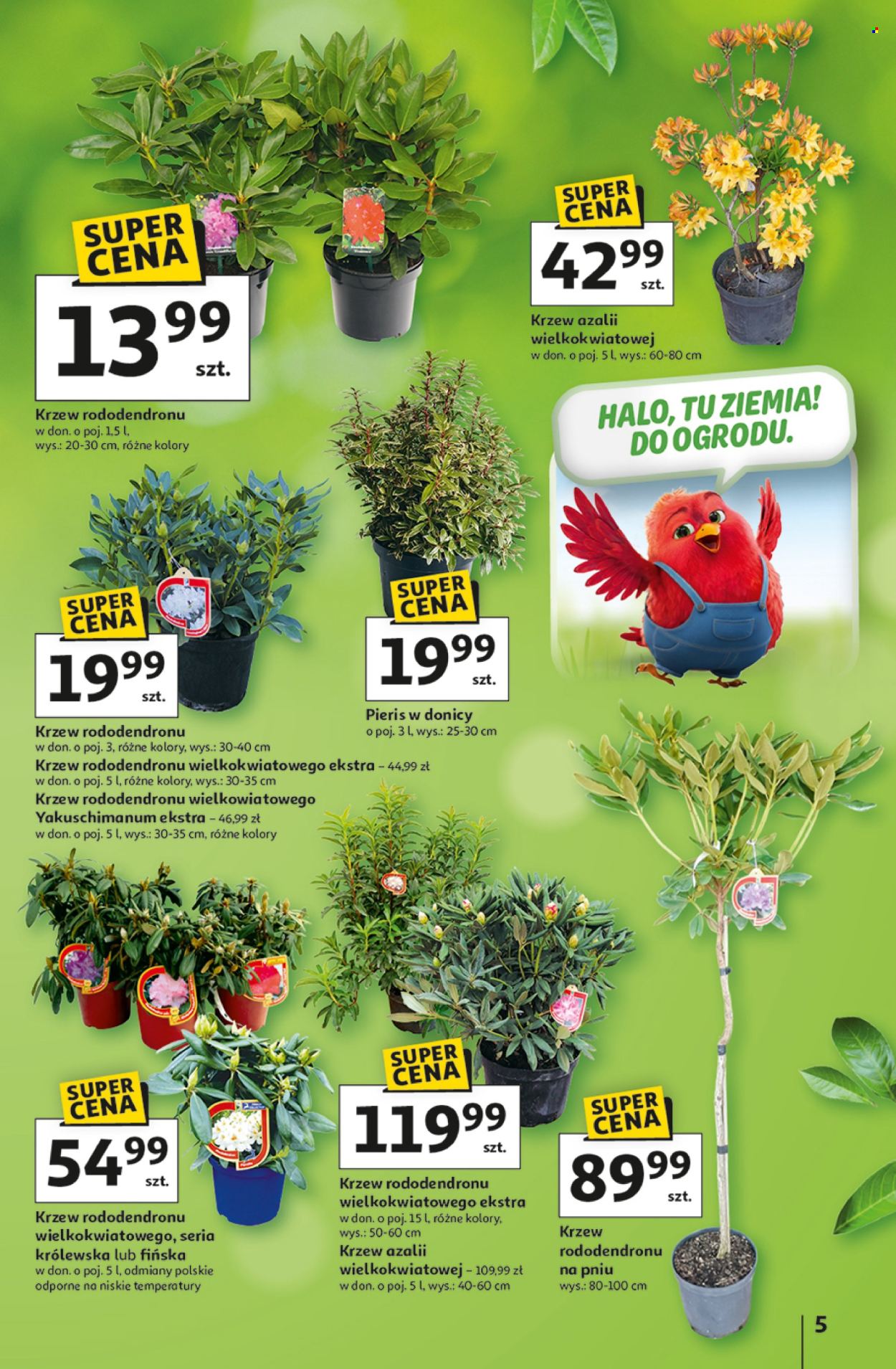 Gazetka Auchan - 12.03.2026 - 4.04.2026. Strona 5