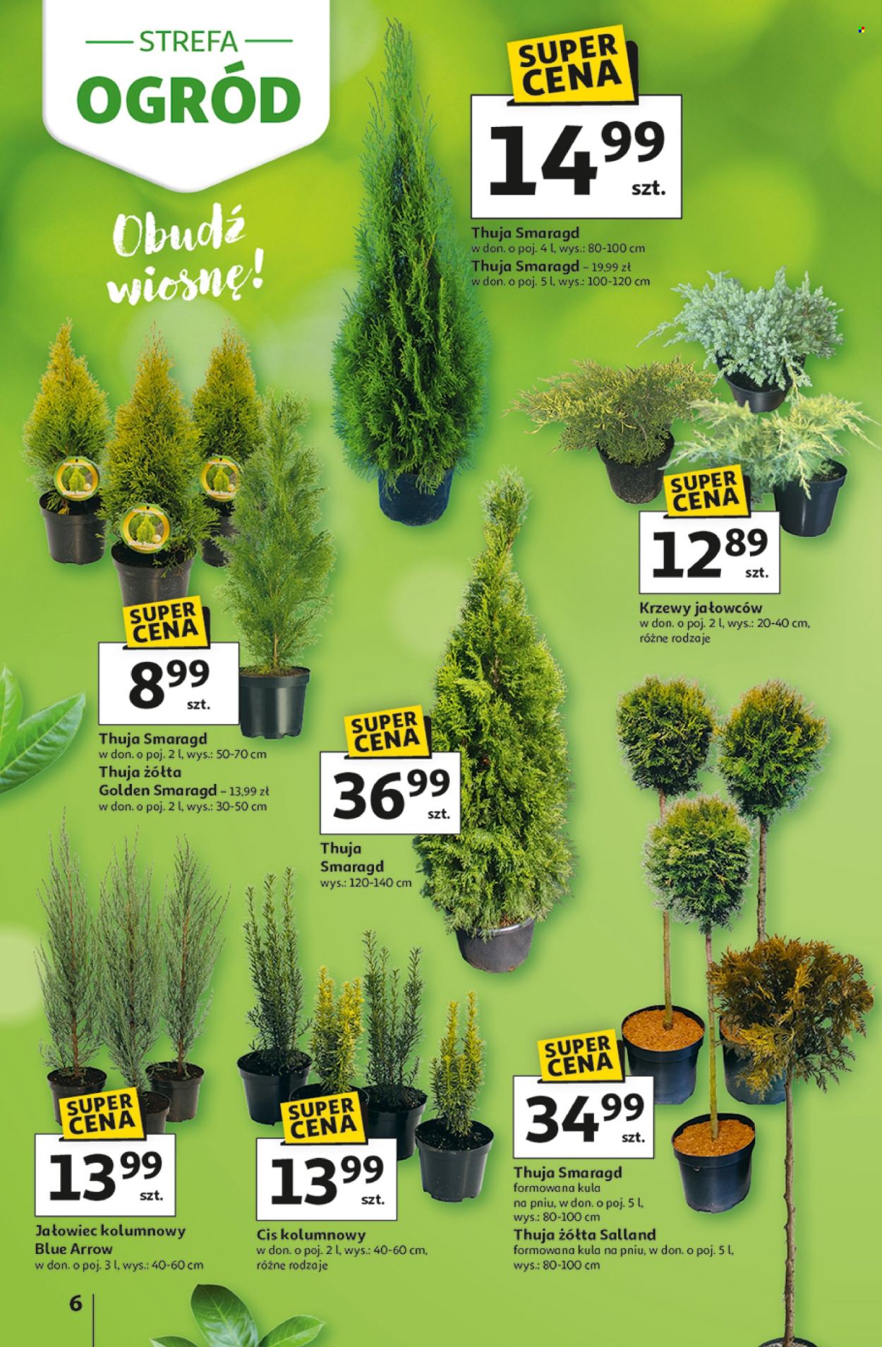 Gazetka Auchan - 12.03.2026 - 4.04.2026. Strona 6