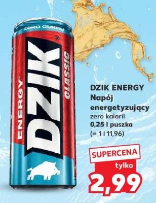 DZIK ENERGY