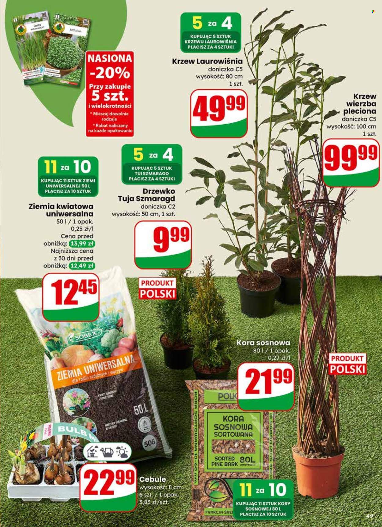 Gazetka Dino - 11.03.2026 - 17.03.2026. Strona 49