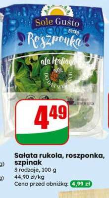 Salata rukola roszponka szpinak