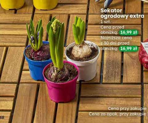 Sekator ogrodowy extra