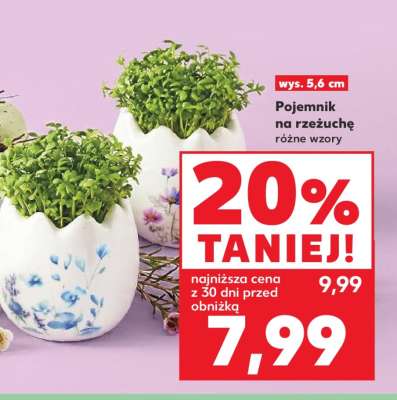 Pojemnik na rzeżuchę