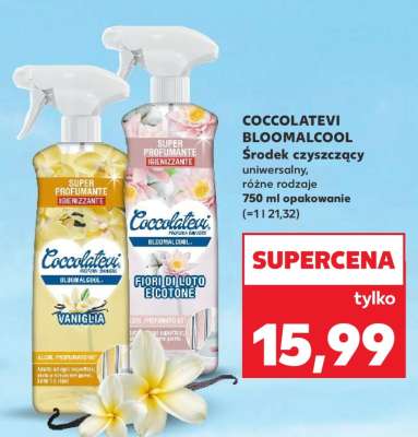 COCCOLATEVI BLOOMALCOOL
