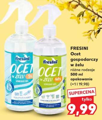 FRESINI Ocet gospodarczy w żelu
